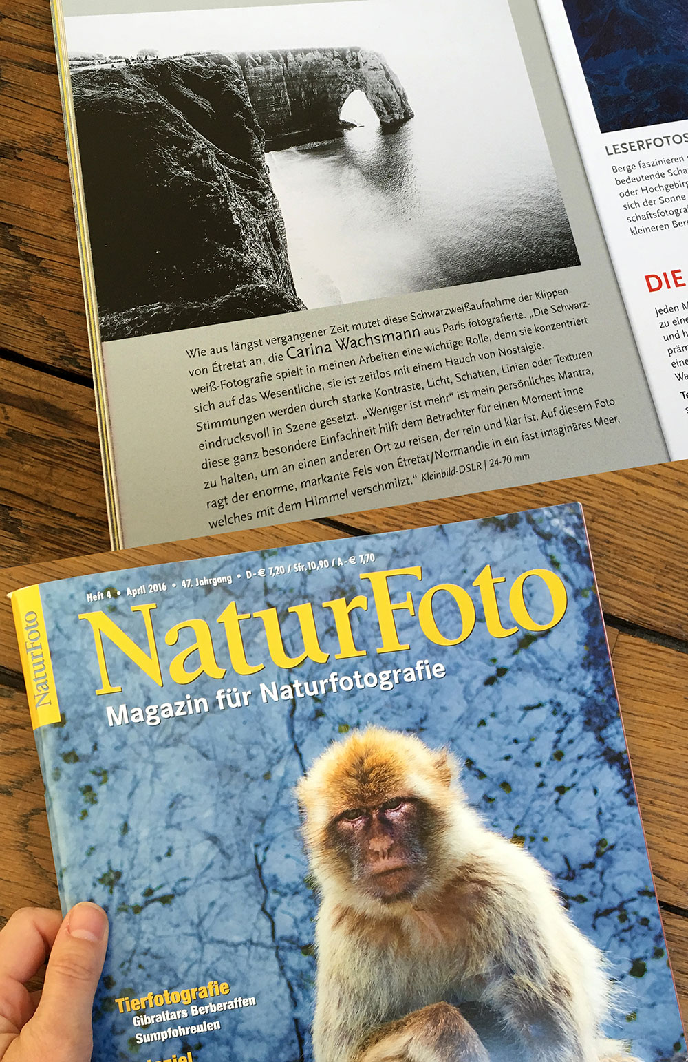 Naturmagazin-Meeresküsten-ausgabe-web.jpg